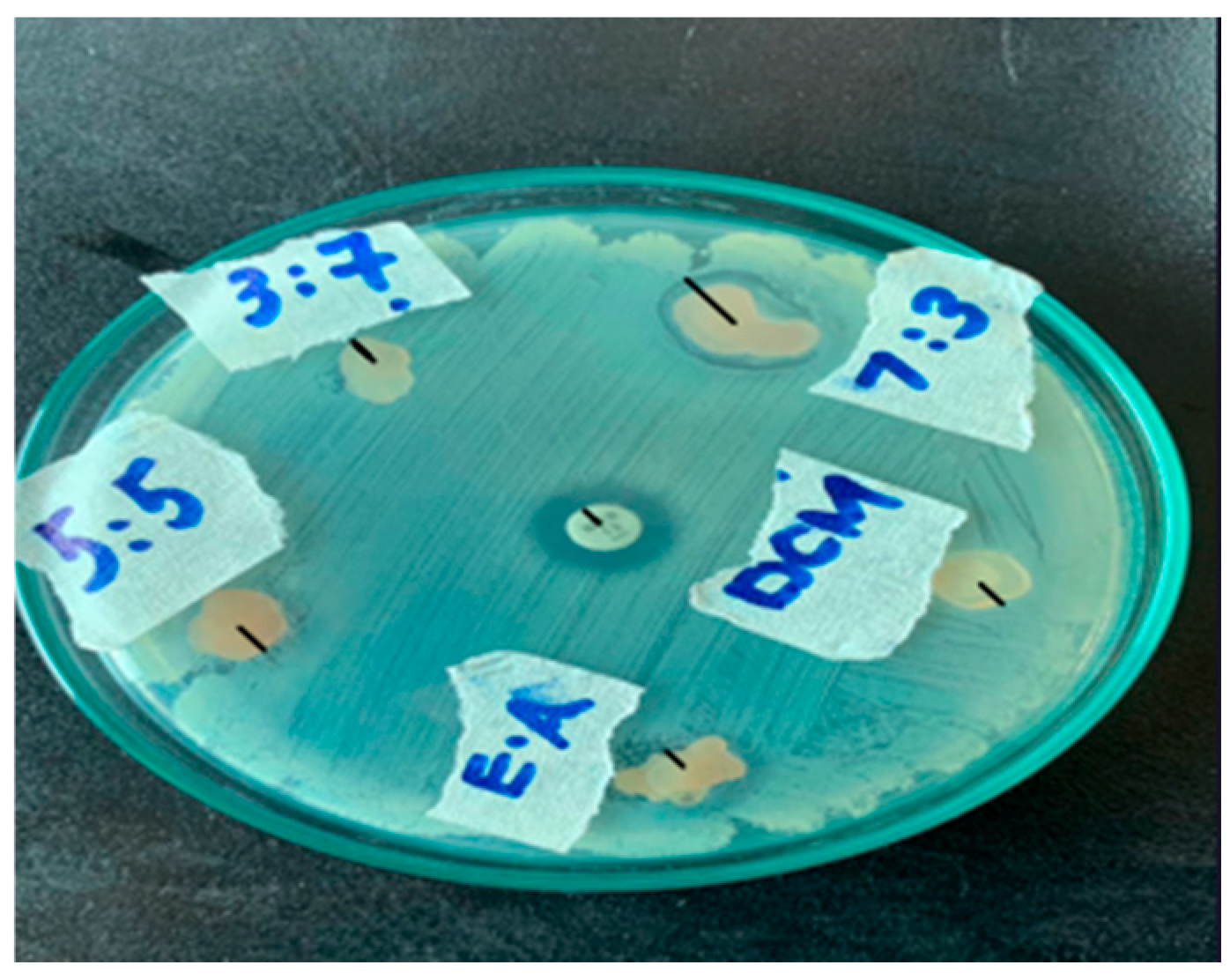 Materproc 23 00015 g003