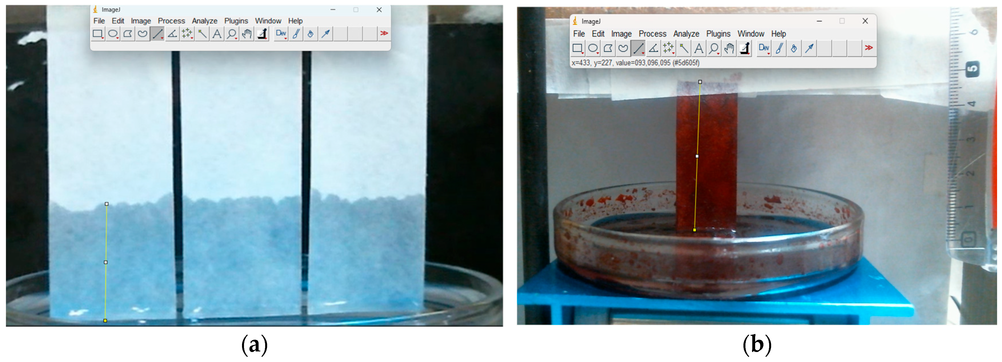 Materproc 23 00021 g002