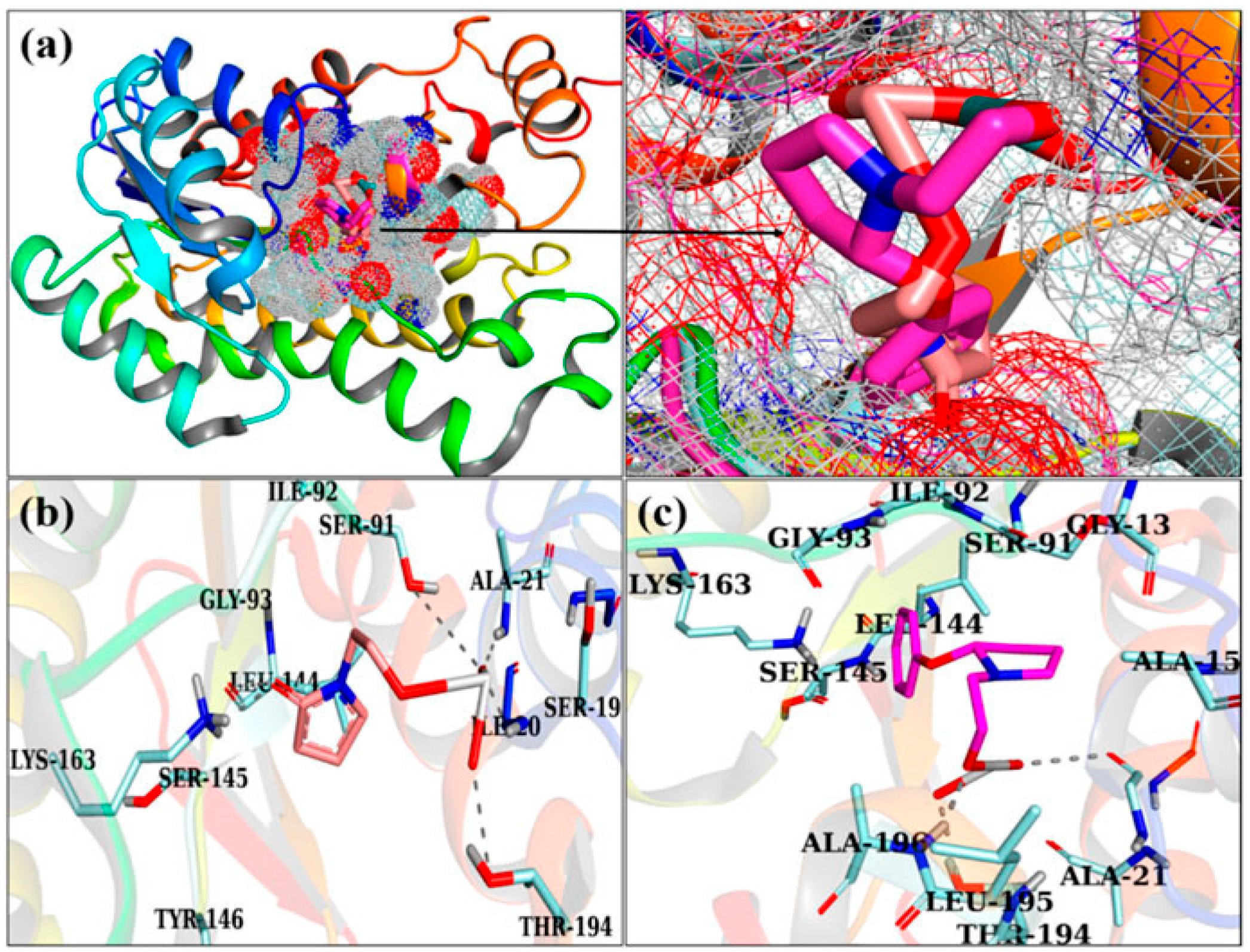 Materproc 25 00001 g001