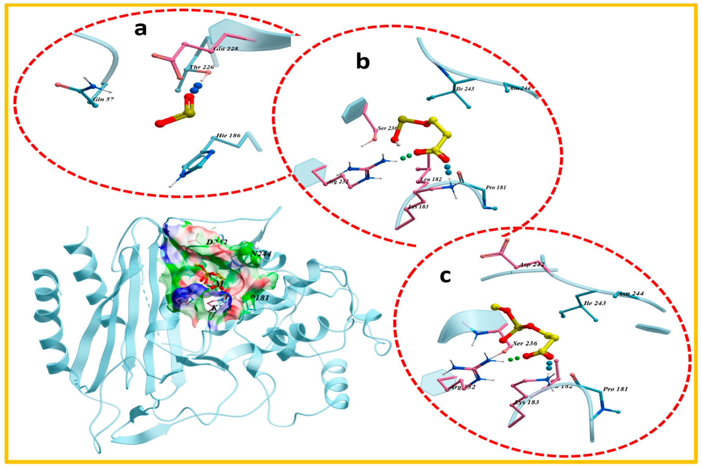 Materproc 25 00001 g002