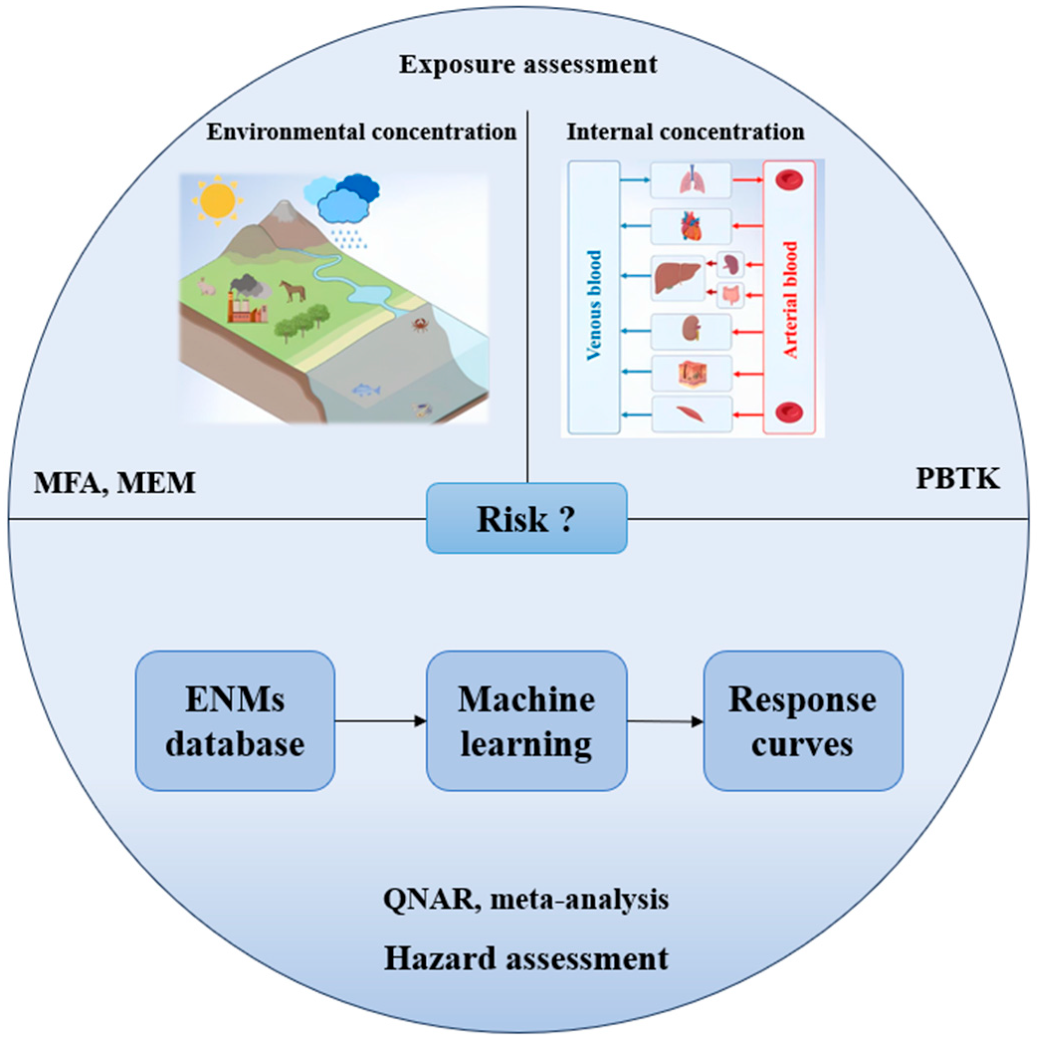 Materproc 25 00001 g003