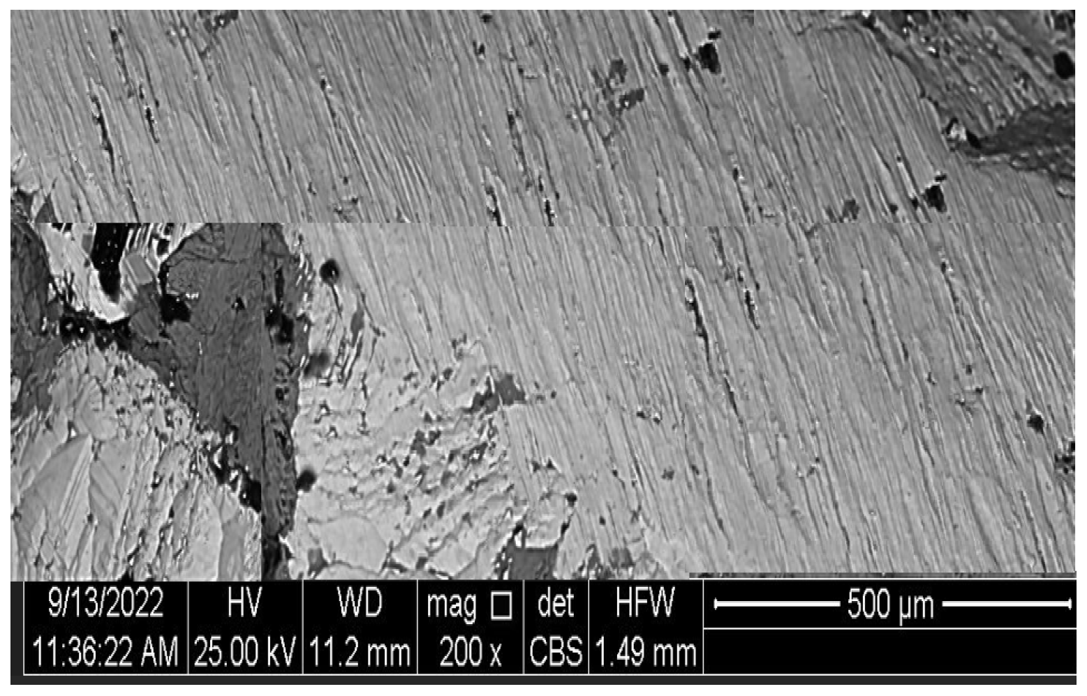 Materproc 25 00004 g002