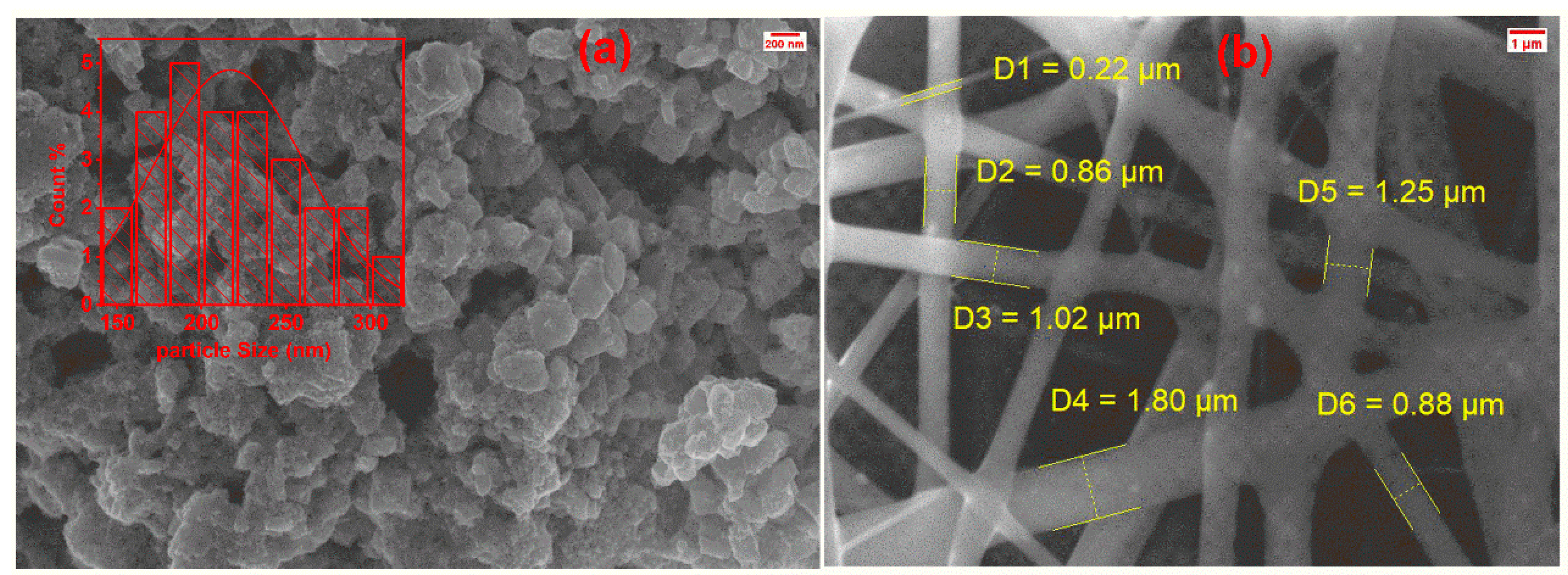 Materproc 25 00005 g004