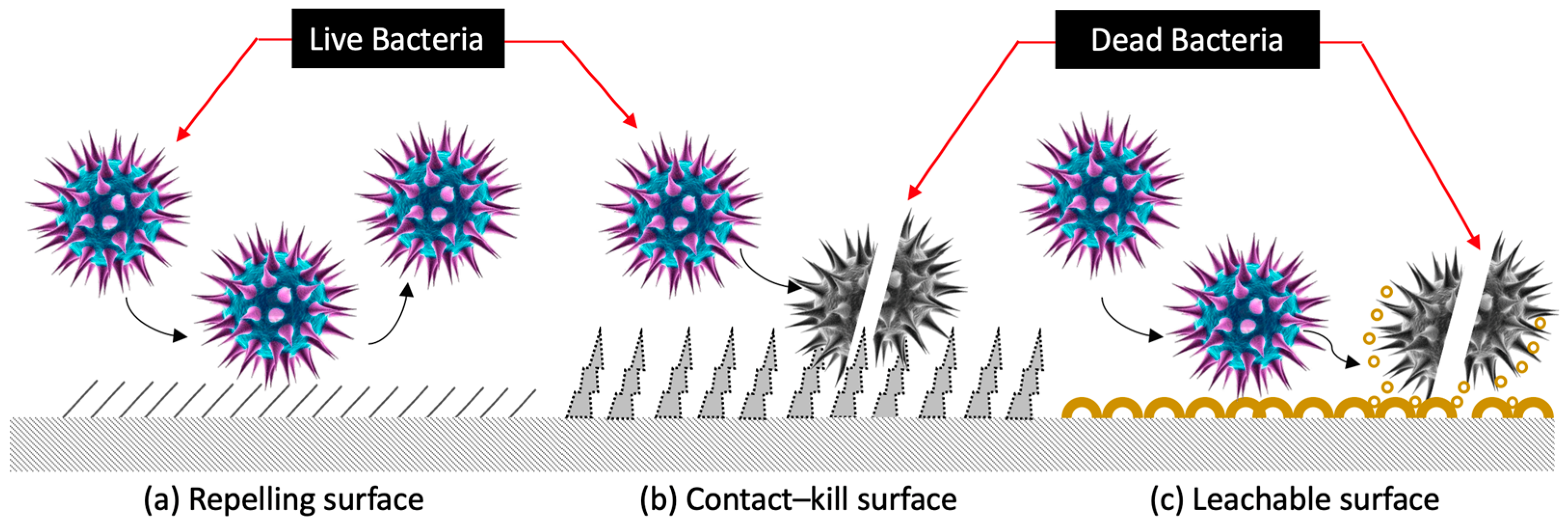 Materproc 25 00011 g001 Materproc 25 00011 g001