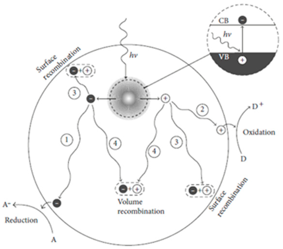 Materproc 25 00013 g002