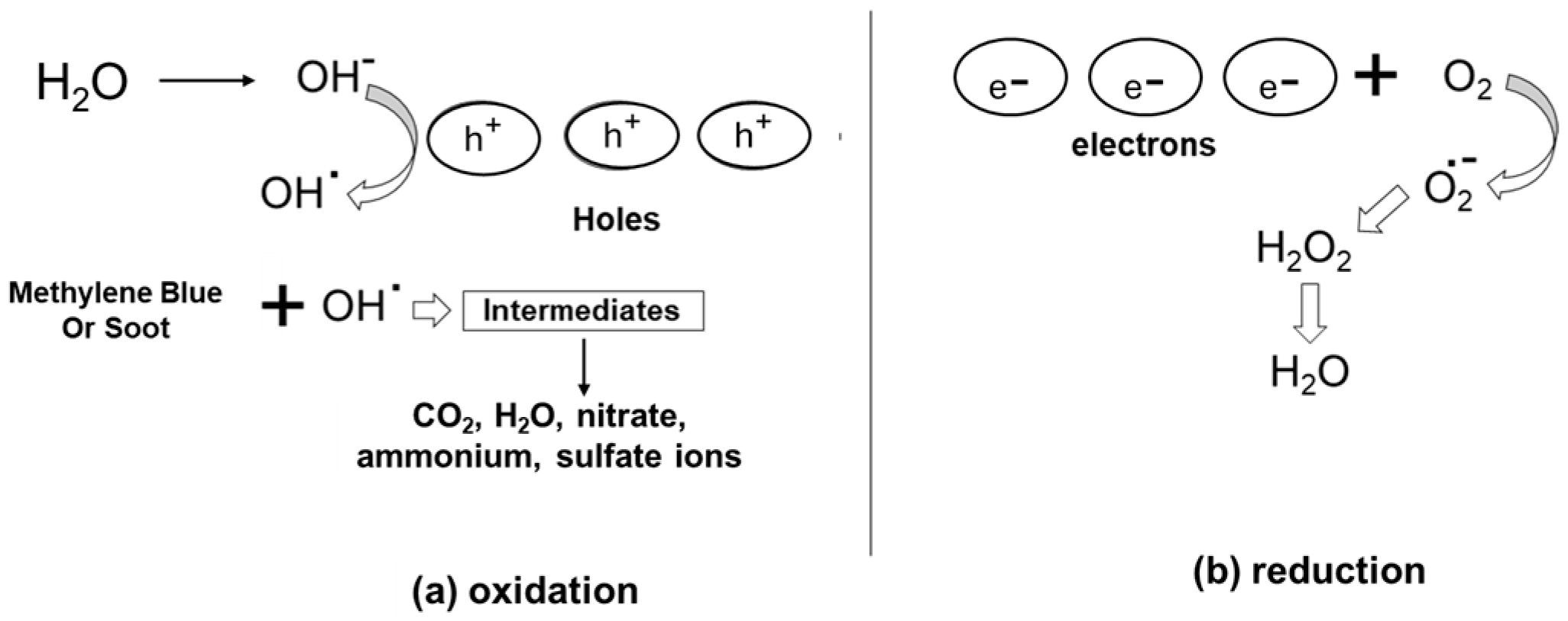 Materproc 25 00013 g003