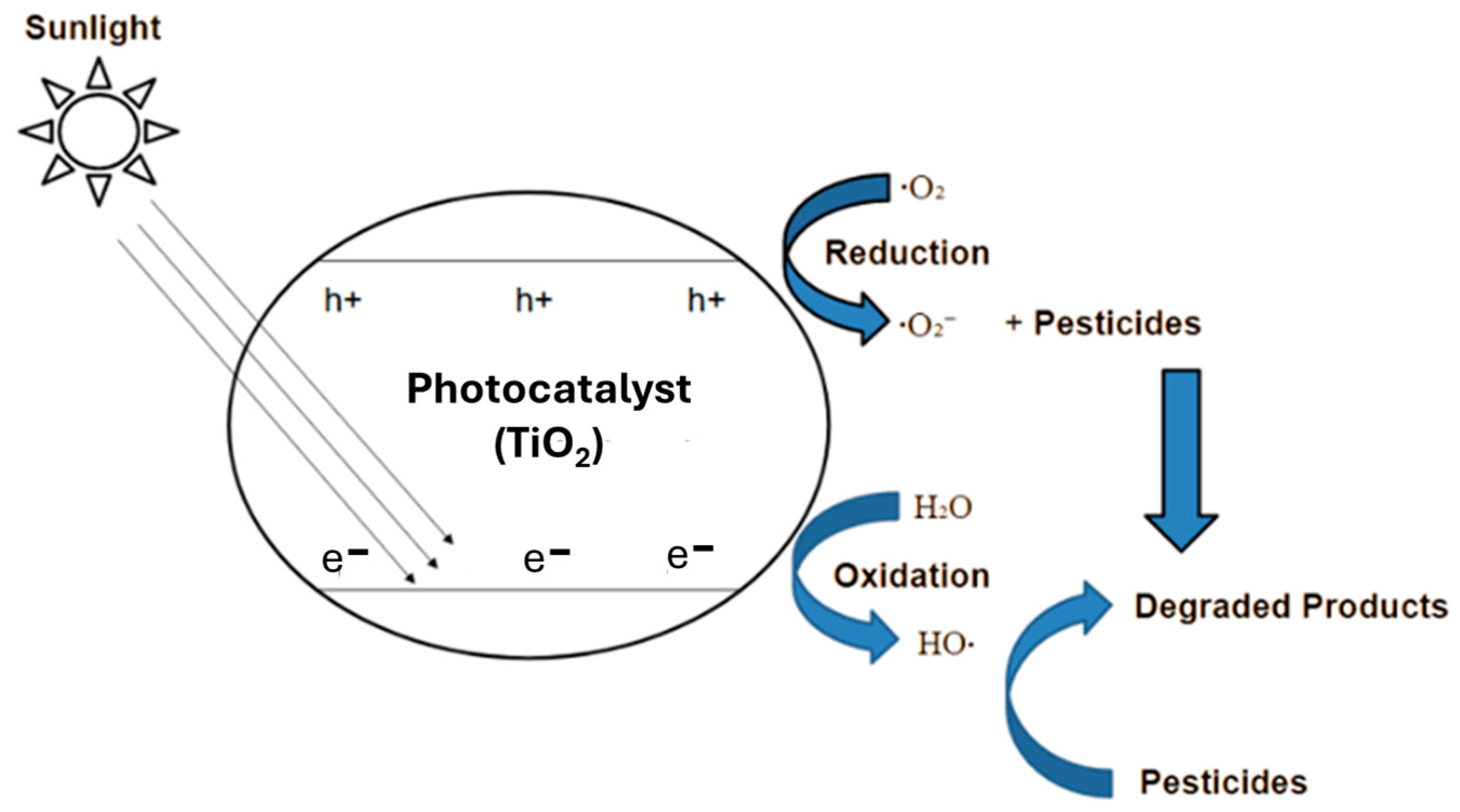 Materproc 25 00014 g001