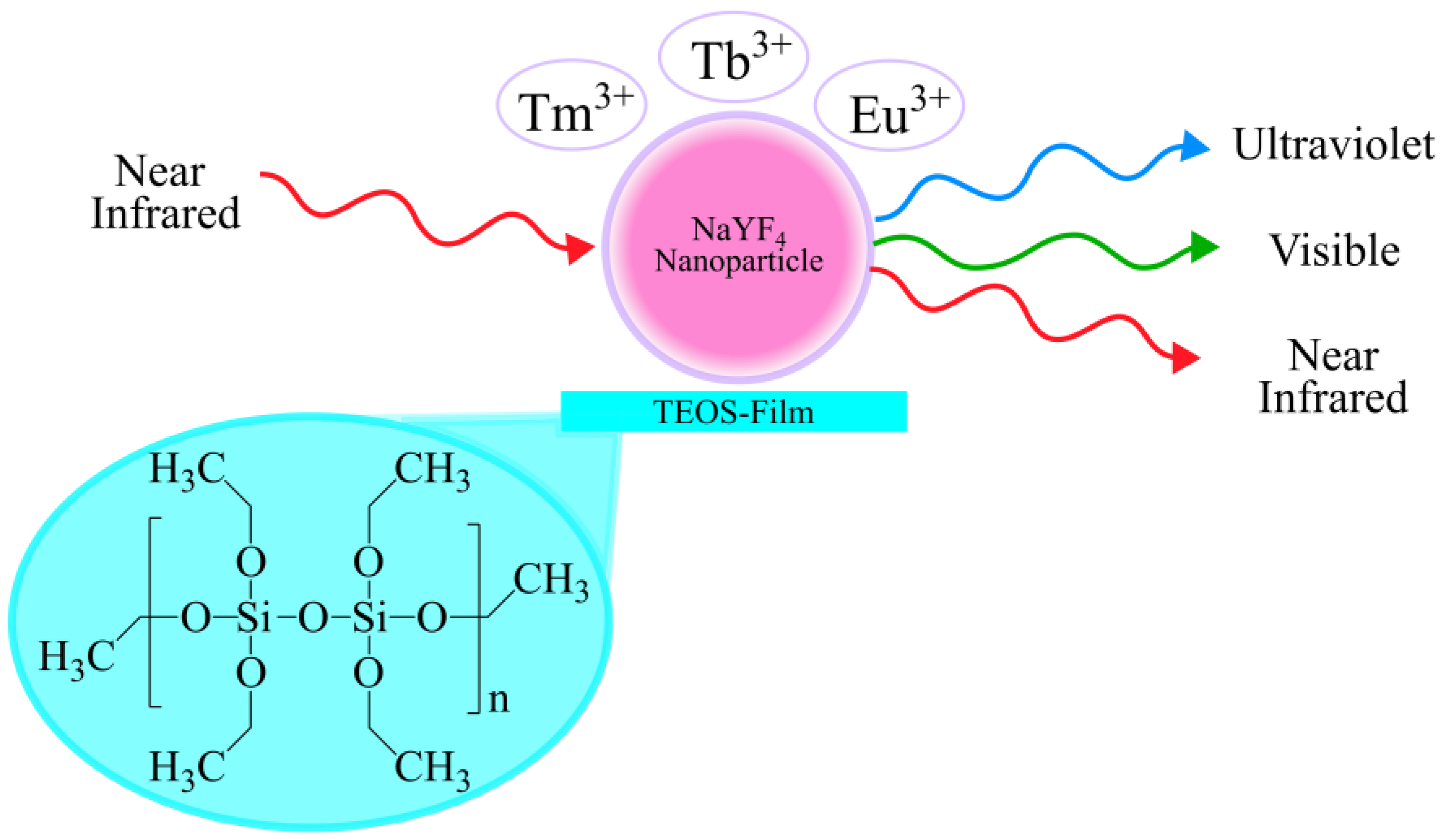 Materproc 25 00016 g001