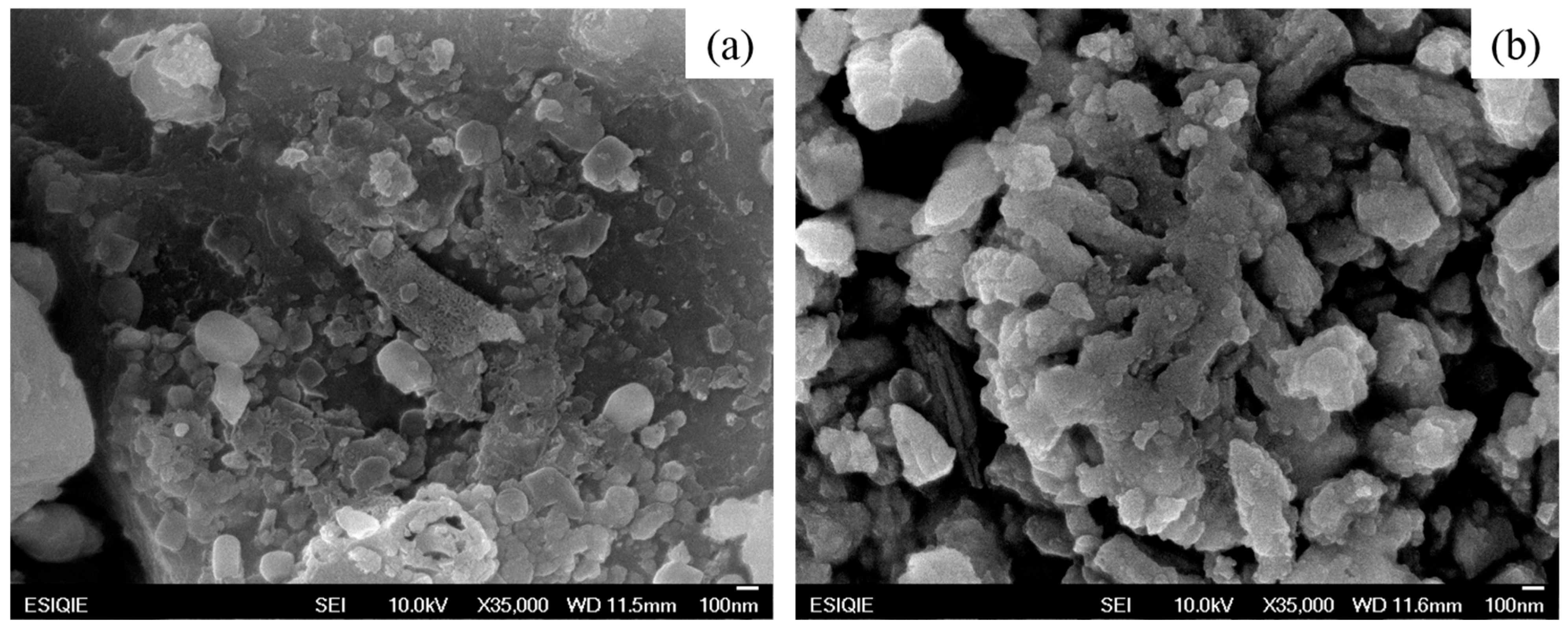 Materproc 25 00016 g004