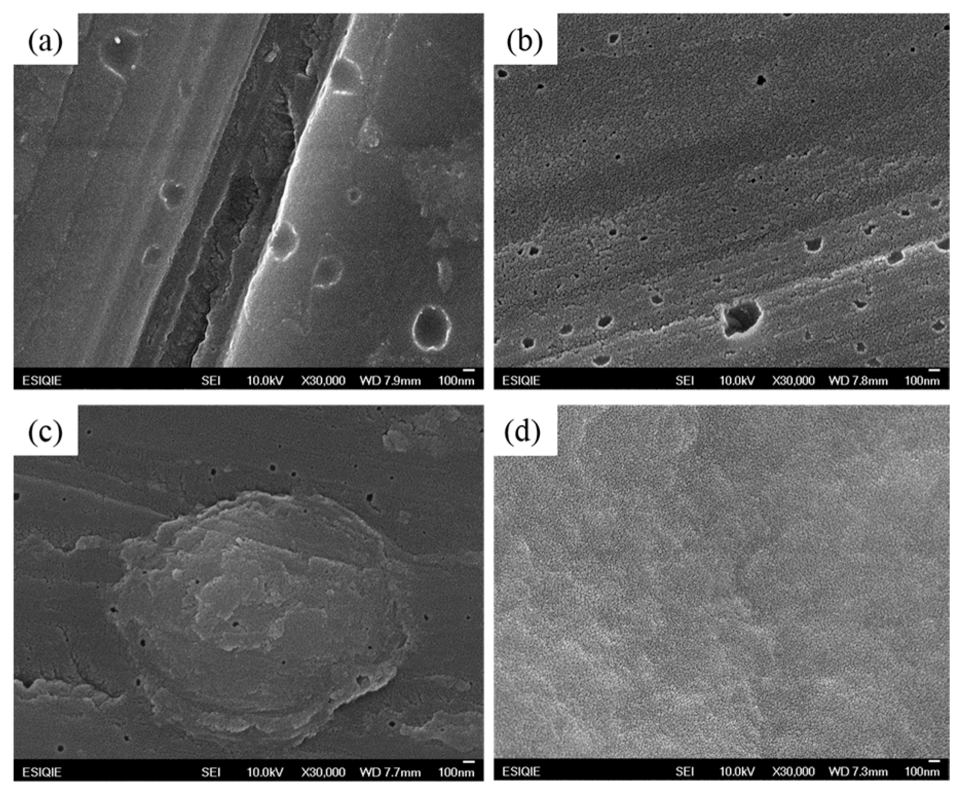 Materproc 25 00016 g007