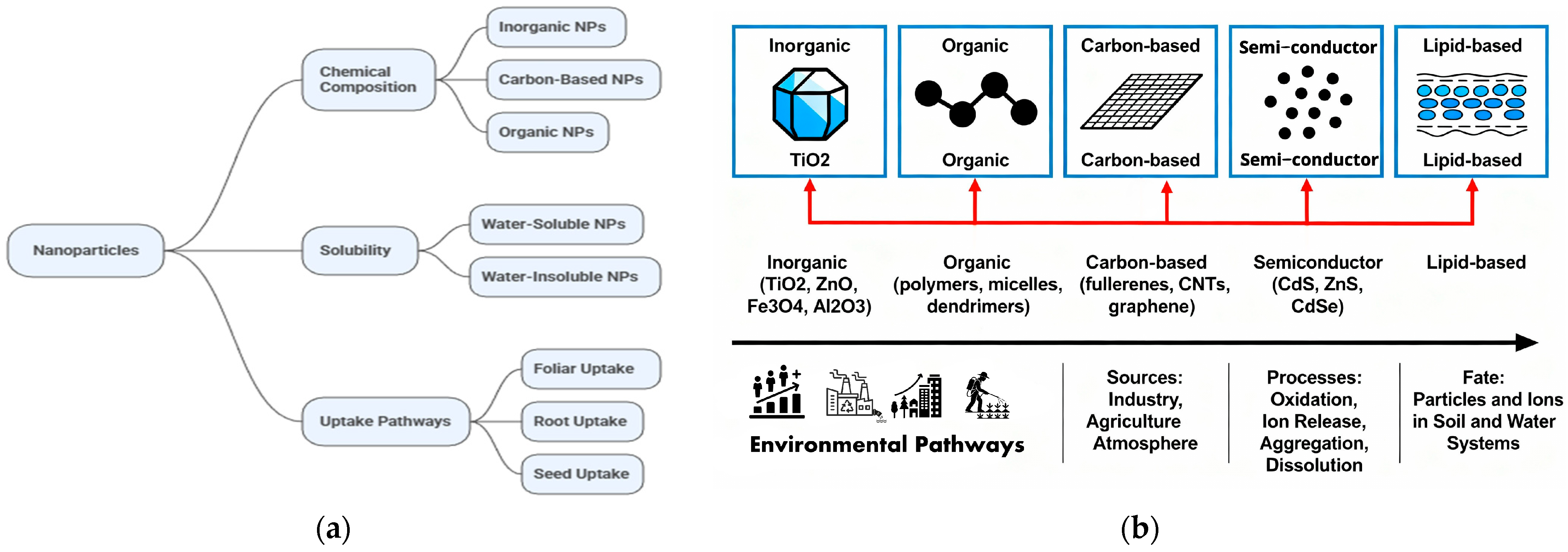 Materproc 26 00006 g001