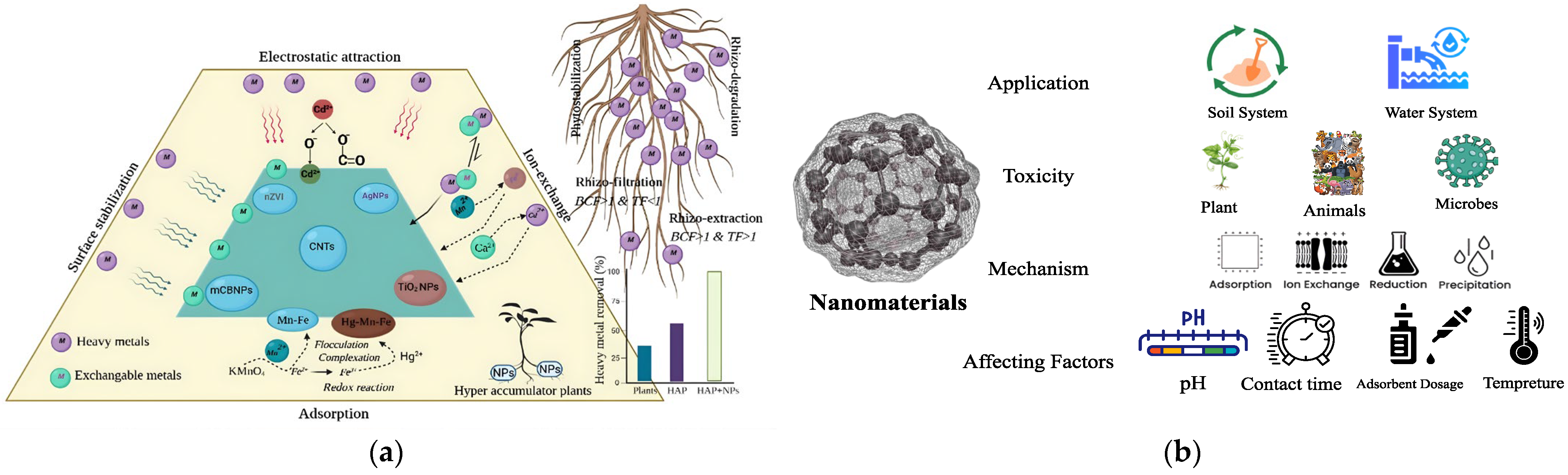 Materproc 26 00006 g002