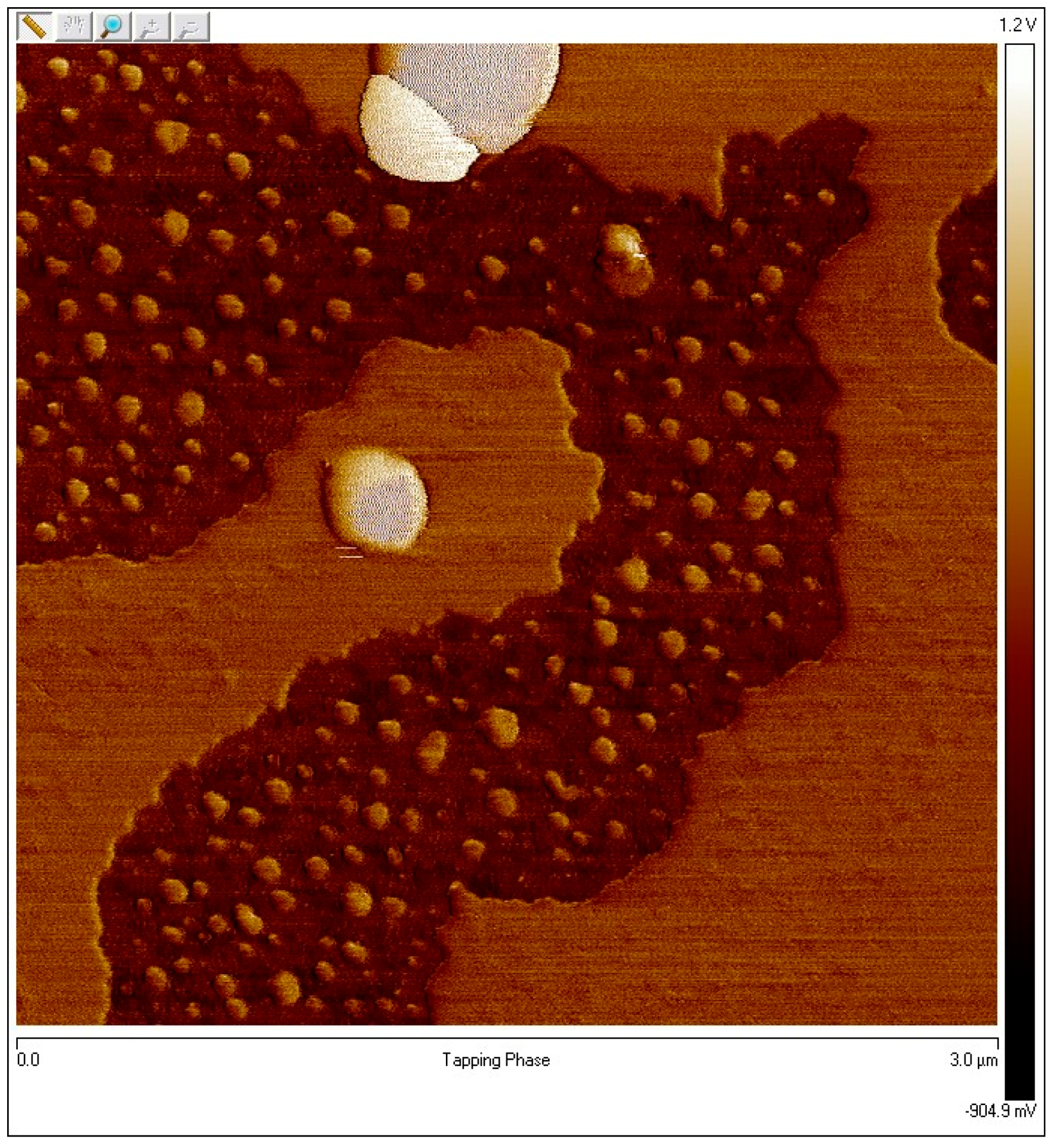 Materproc 28 00002 g001 Materproc 28 00002 g001