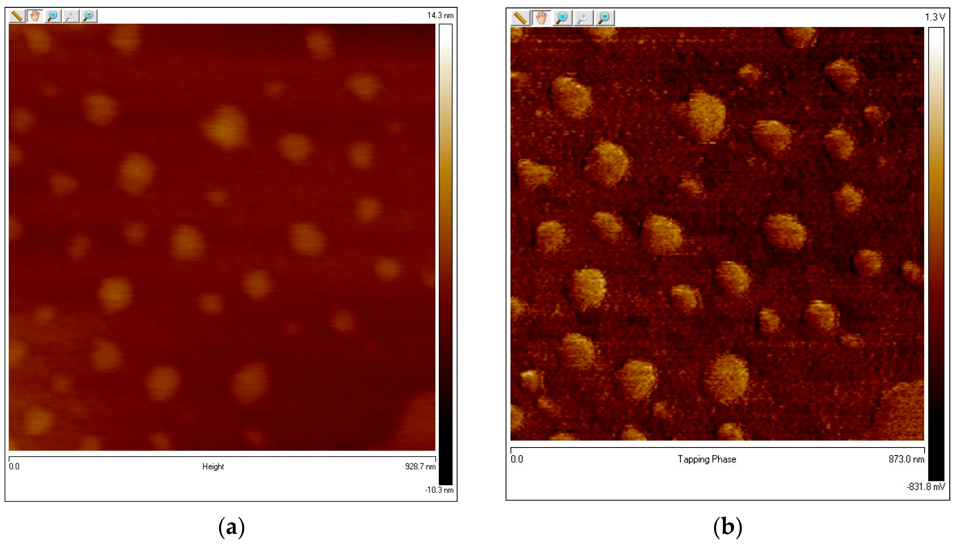 Materproc 28 00002 g002 Materproc 28 00002 g002