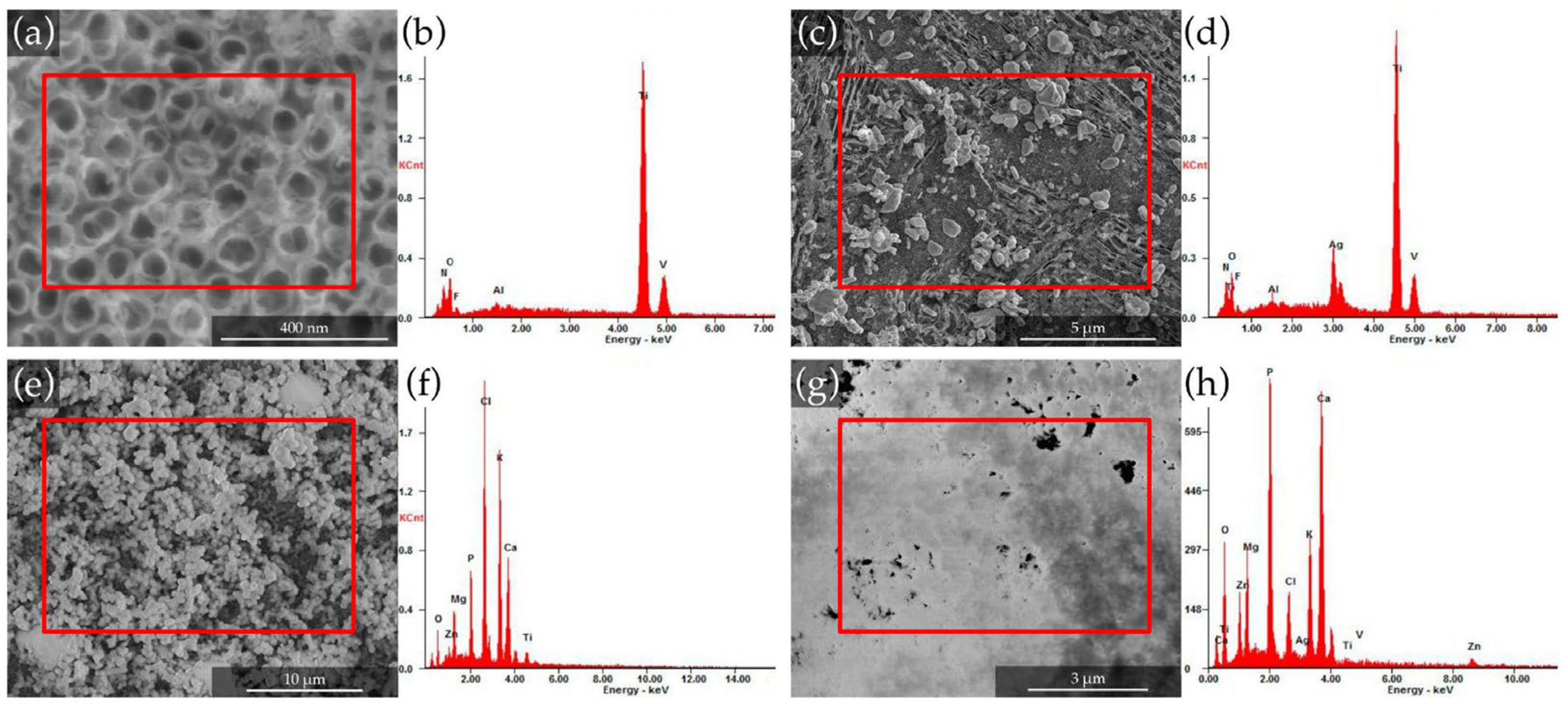 Materproc 28 00004 g001