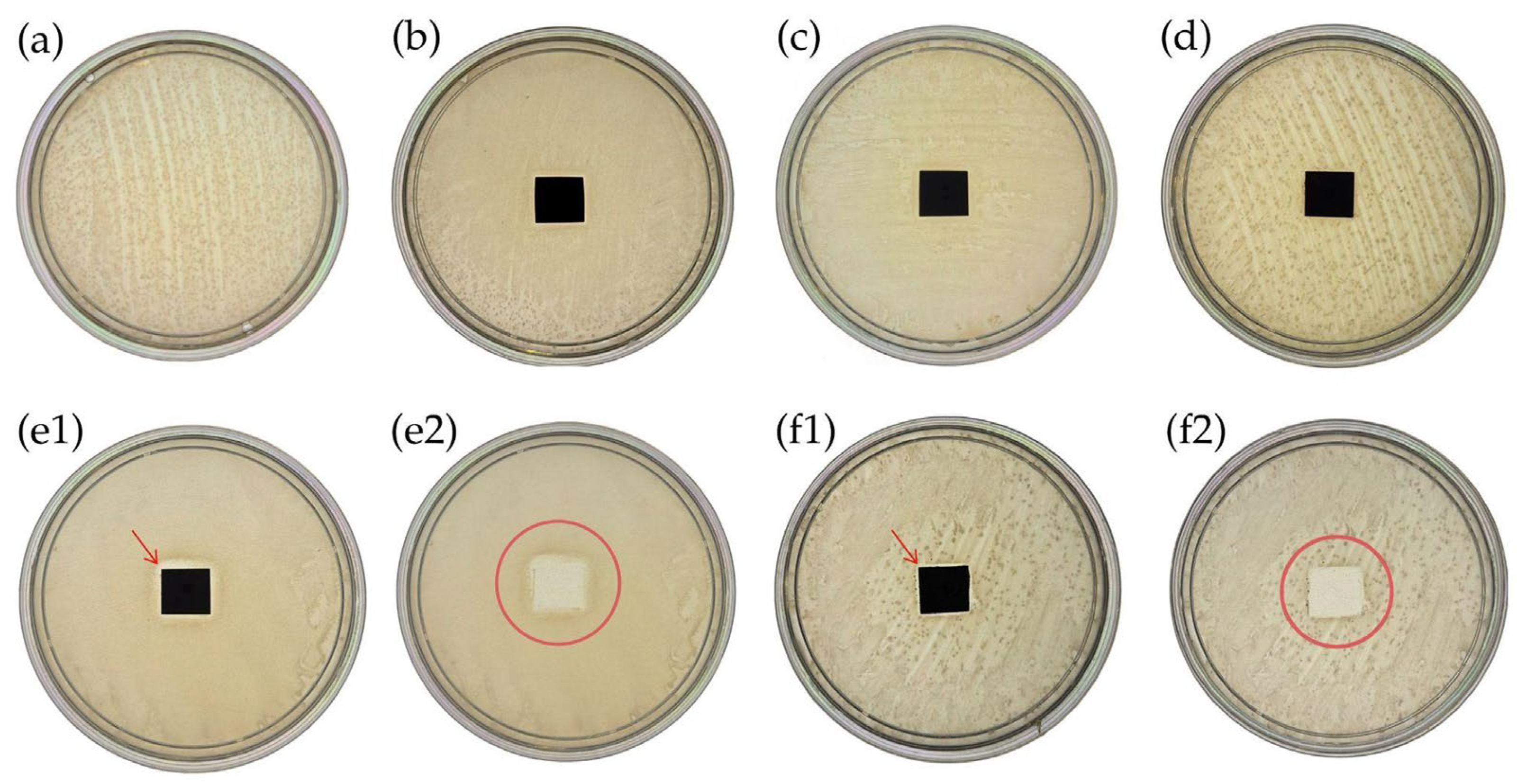 Materproc 28 00004 g002