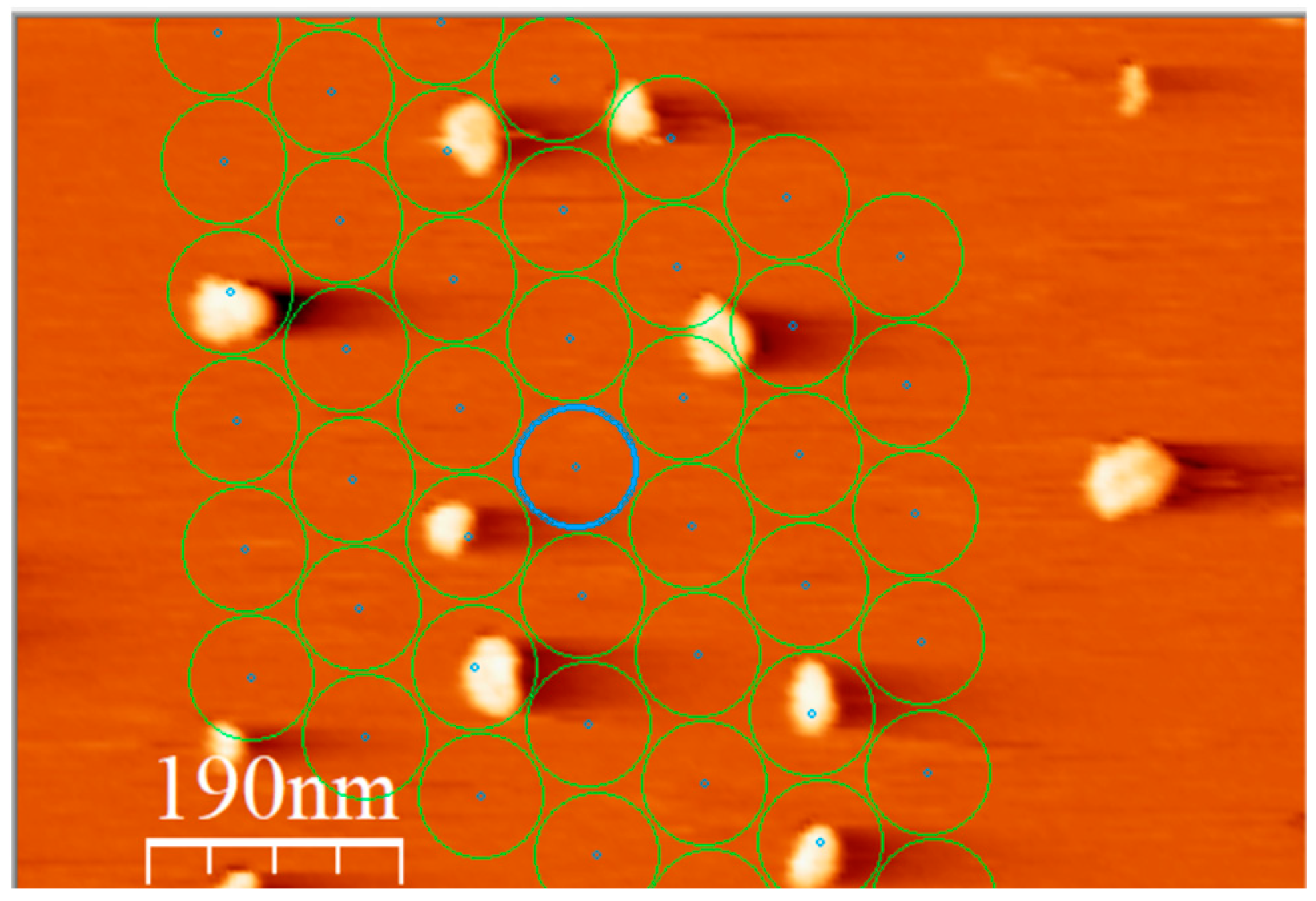 Materproc 28 00005 g002