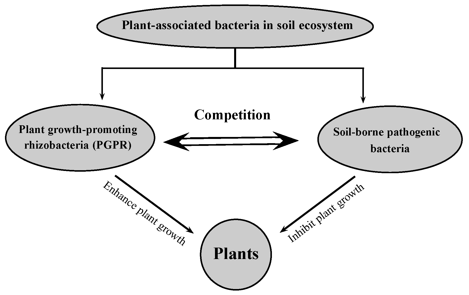 Mathematics 07 00091 g017