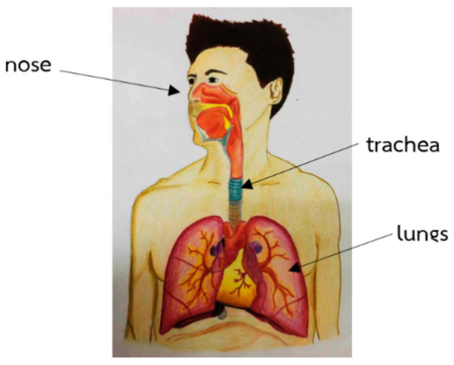 Mathematics 07 00567 g001 550