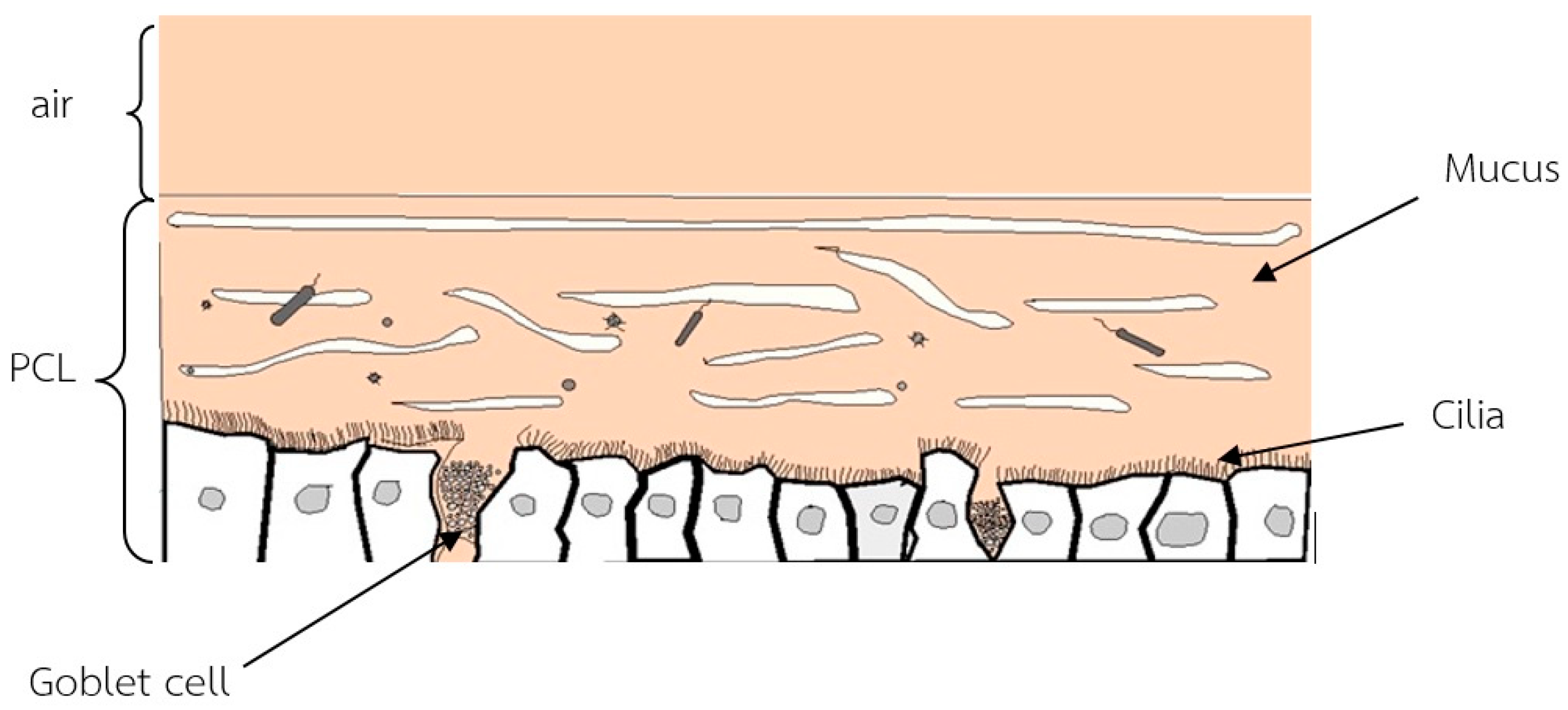 Mathematics 07 00567 g003 550