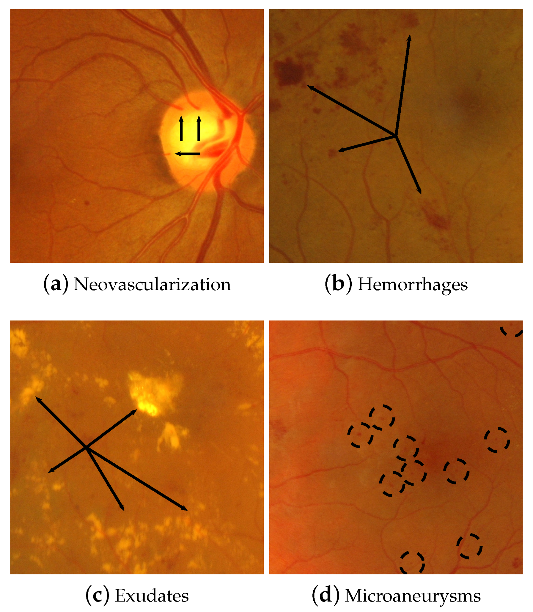 Mathematics 08 00744 g002