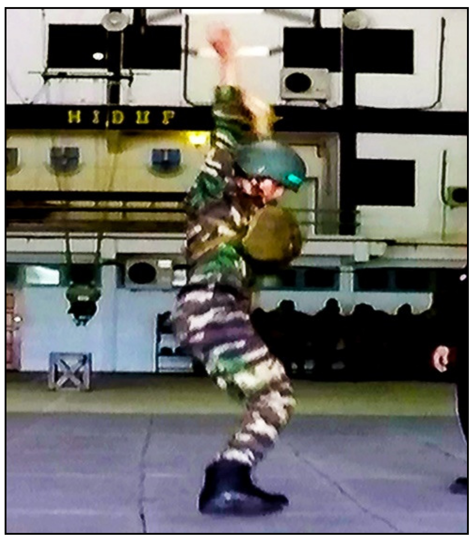 Mathematics Free FullText Study in Parachute Landing Fall