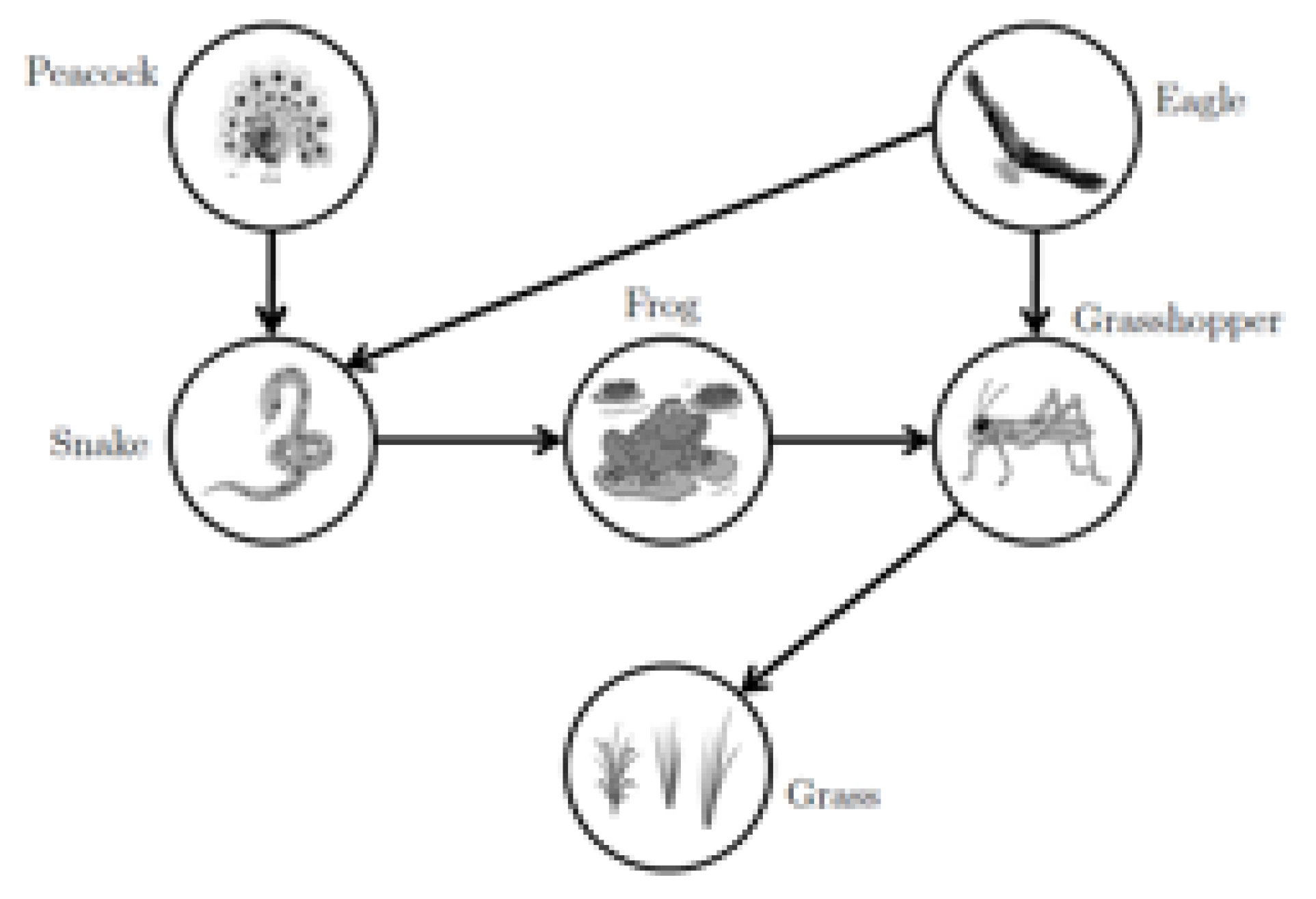 Mathematics 08 01008 g001