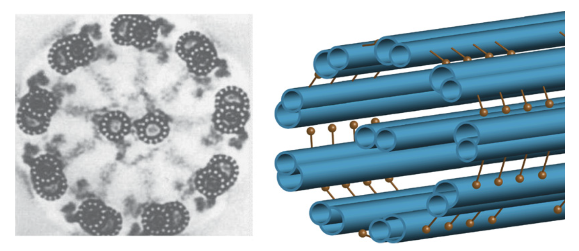 Mathematics 08 01282 g001