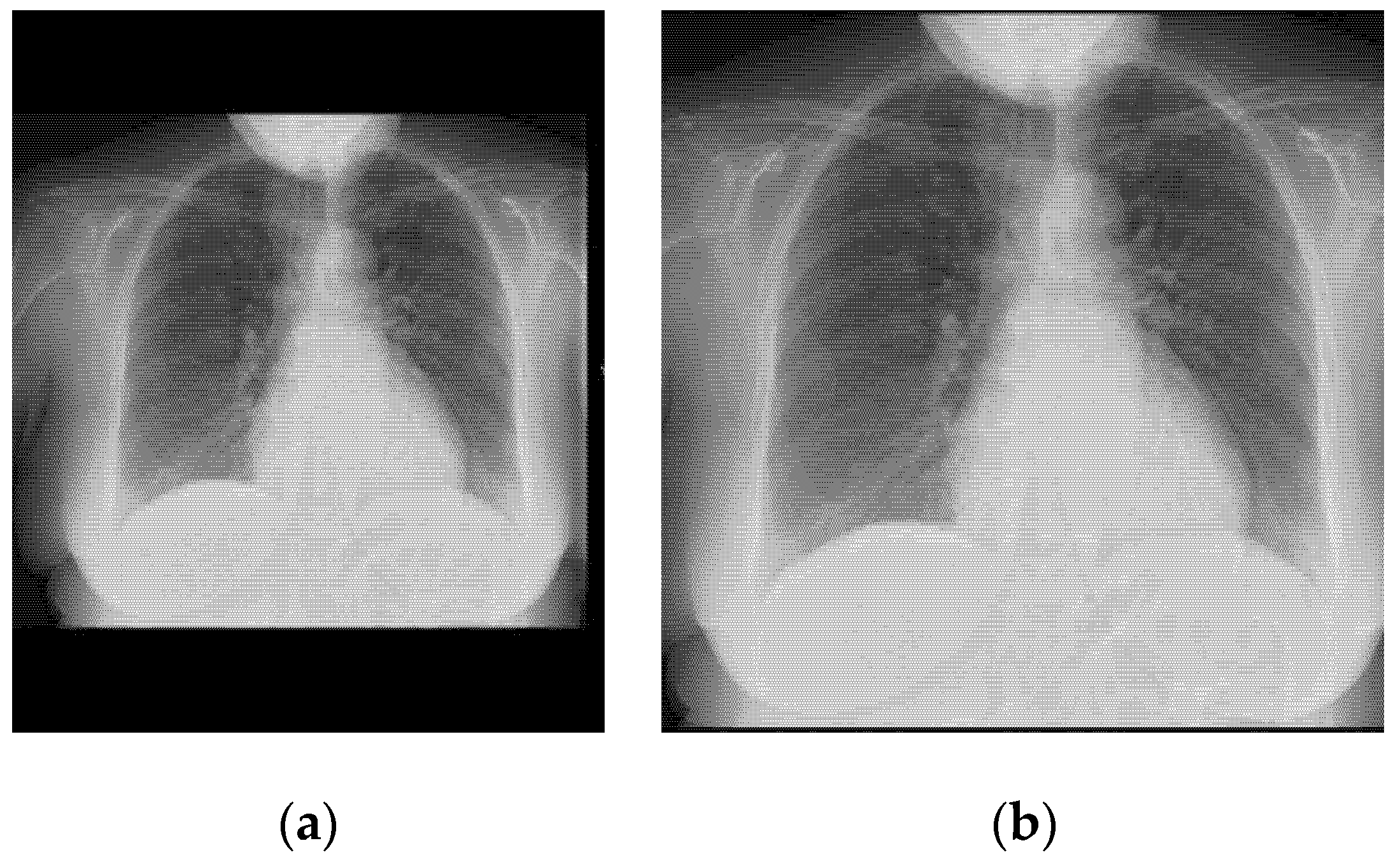 Mathematics Free Full Text Fast Covid 19 And Pneumonia Classification Using Chest X Ray Images Html