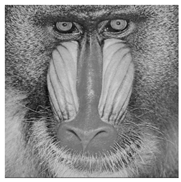 Mathematics 08 01636 i013 Mathematics 08 01636 i013