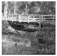 Mathematics 08 01636 i052 Mathematics 08 01636 i052