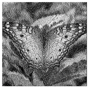 Mathematics 08 01636 i056 Mathematics 08 01636 i056