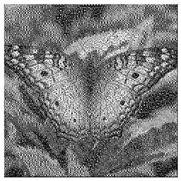 Mathematics 08 01636 i057 Mathematics 08 01636 i057