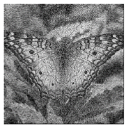 Mathematics 08 01636 i059 Mathematics 08 01636 i059