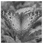 Mathematics 08 01636 i060 Mathematics 08 01636 i060