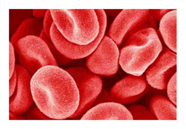 Mathematics 08 01730 i003