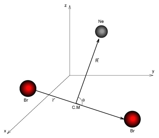 Study of the Vibrational Predissociation of the NeBr2 Complex by 