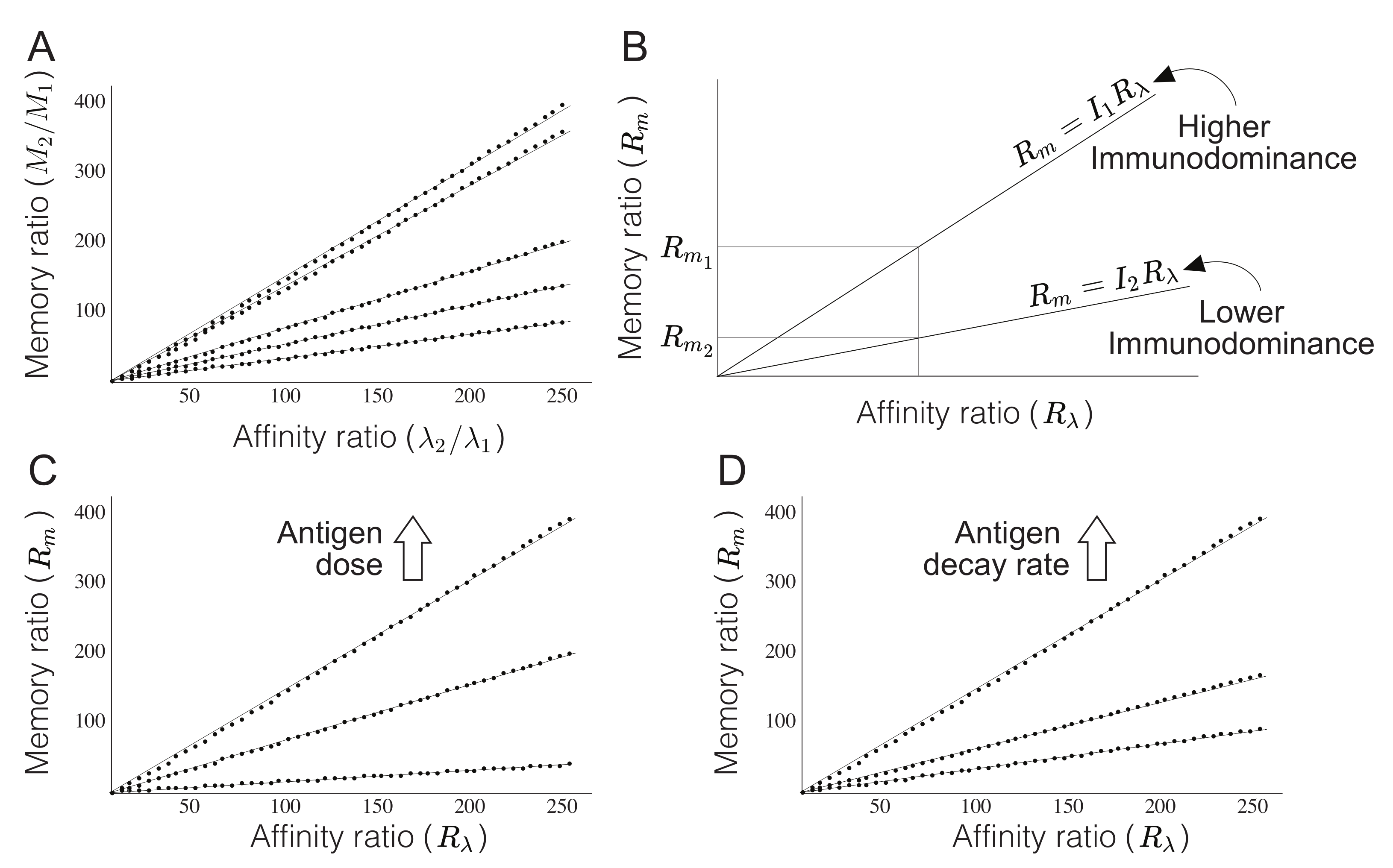 Mathematics Free Full Text Modeling The Dependence Of Immunodominance On T Cell Dynamics In Prime Boost Vaccines Html Mathematics Free Full Text Modeling The Dependence Of Immunodominance On T Cell Dynamics In Prime Boost Vaccines Html