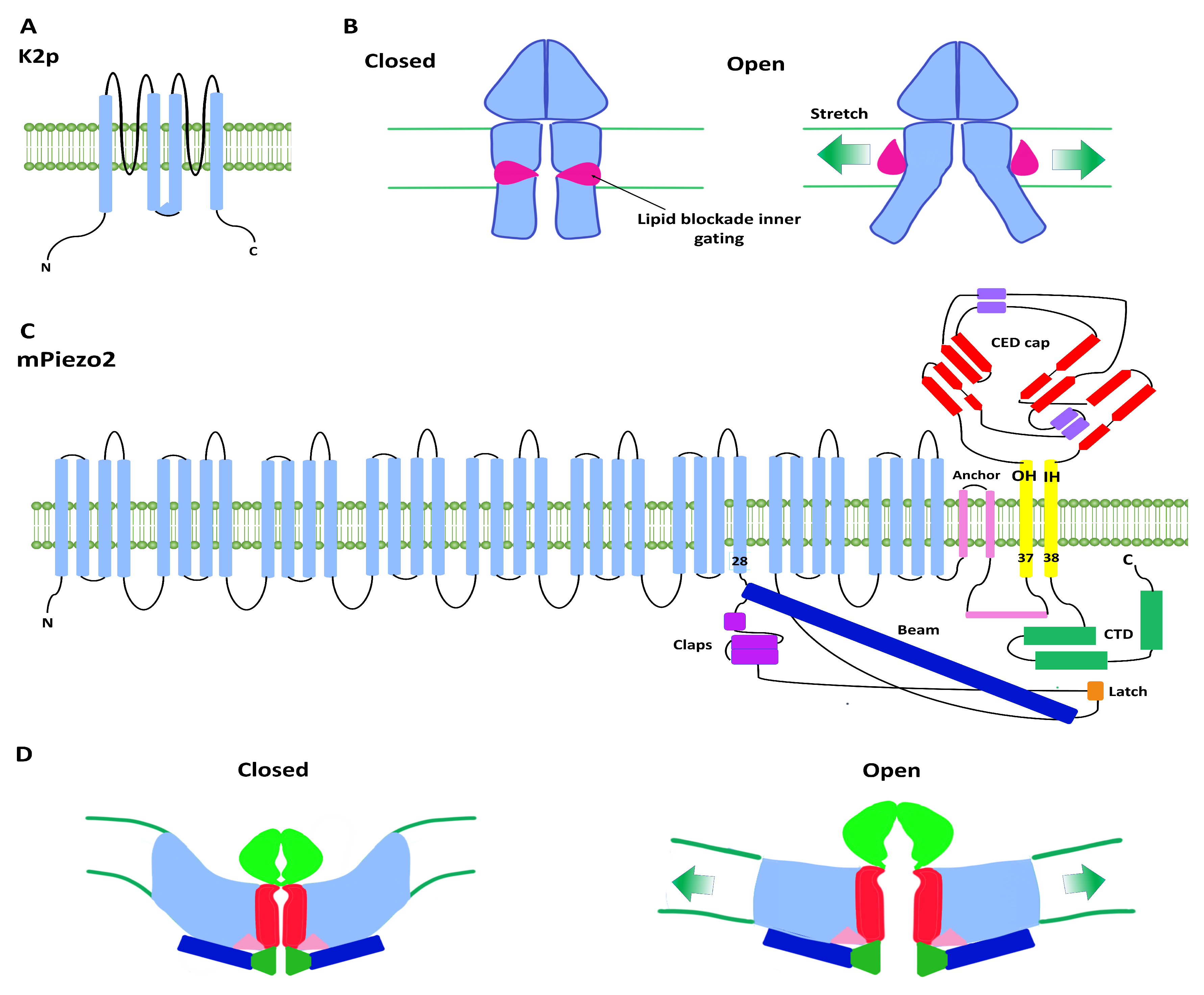 Mathematics 09 00323 g003 Mathematics 09 00323 g003