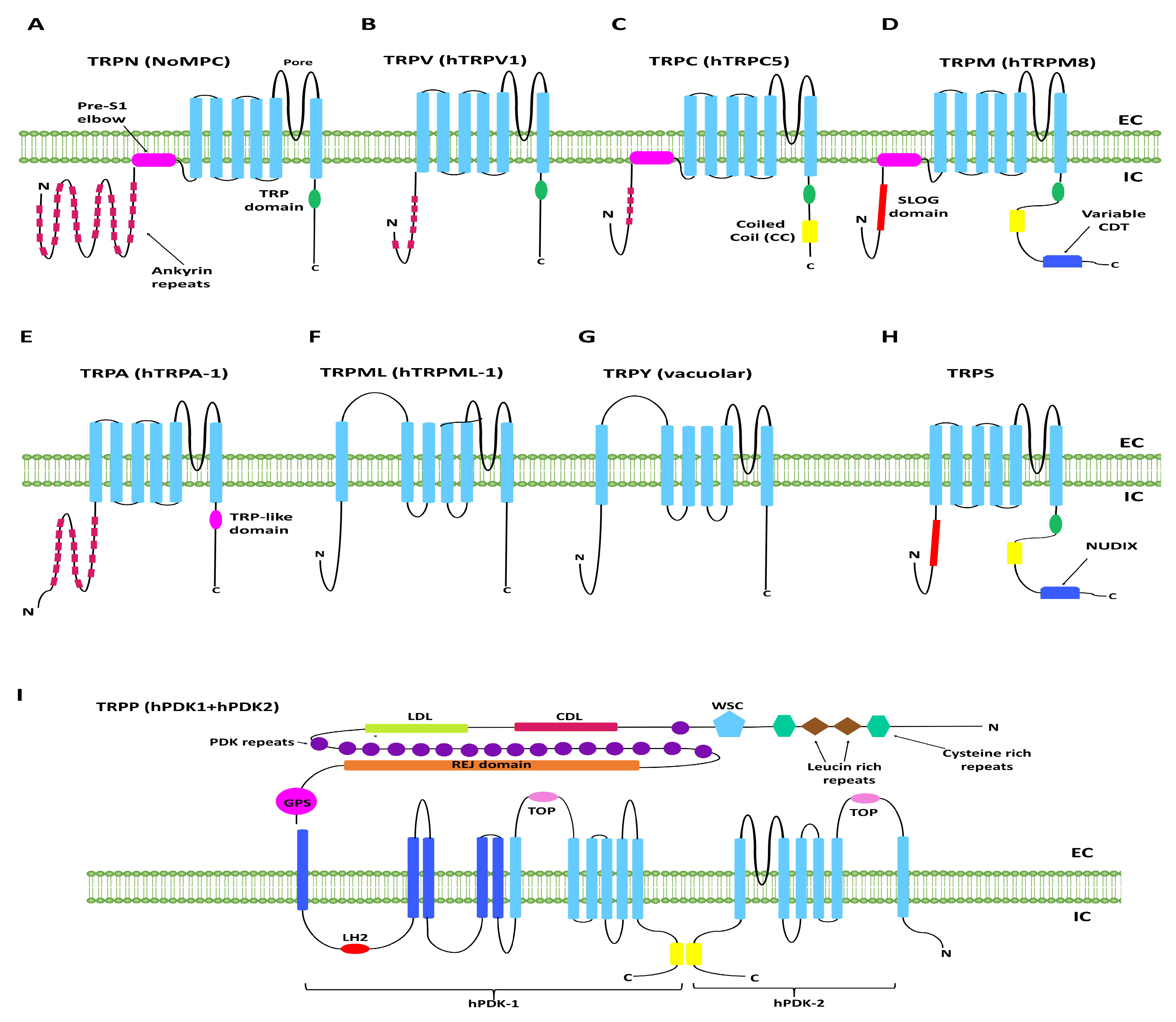Mathematics 09 00323 g004 Mathematics 09 00323 g004