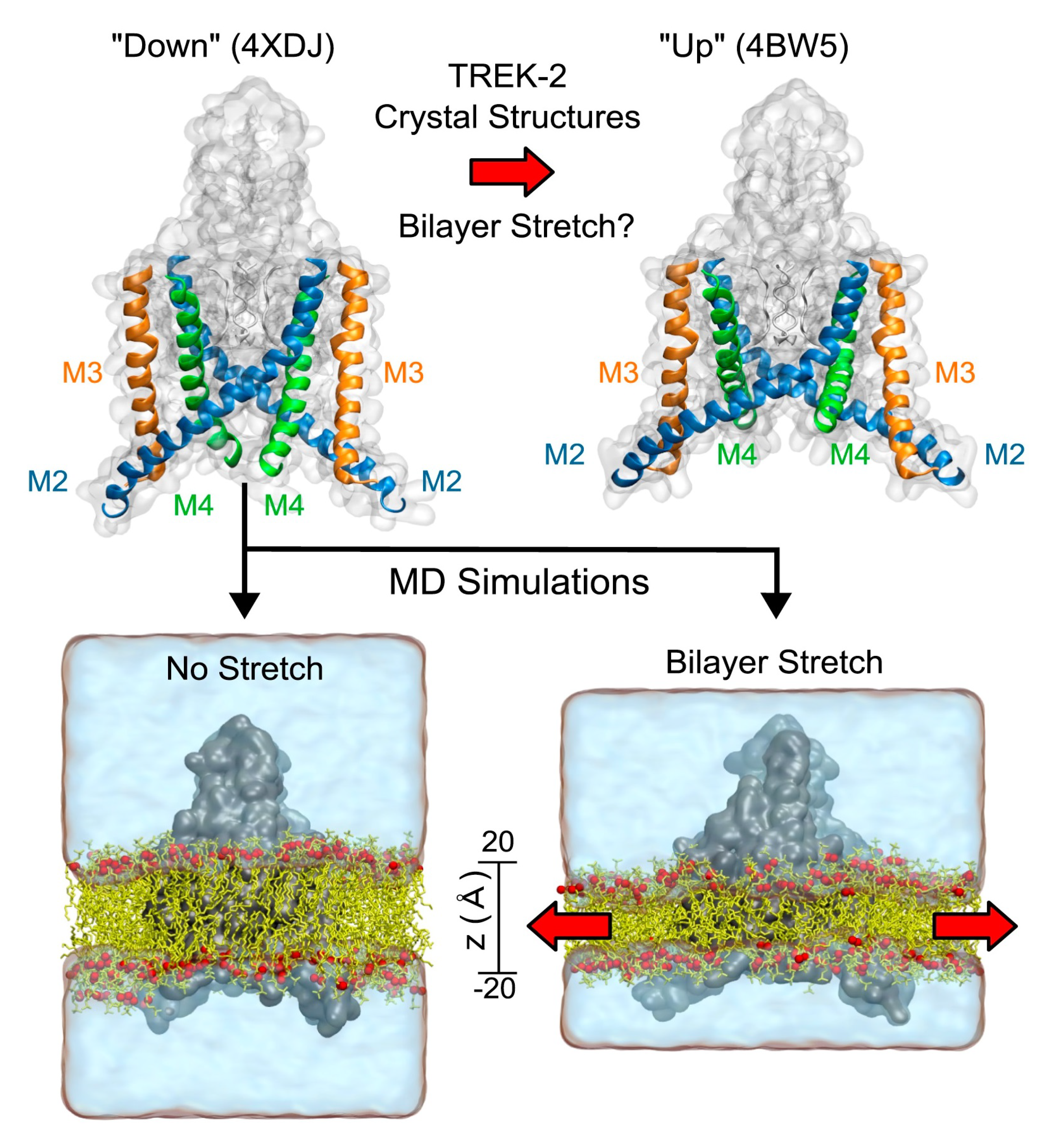 Mathematics 09 00323 g006 Mathematics 09 00323 g006