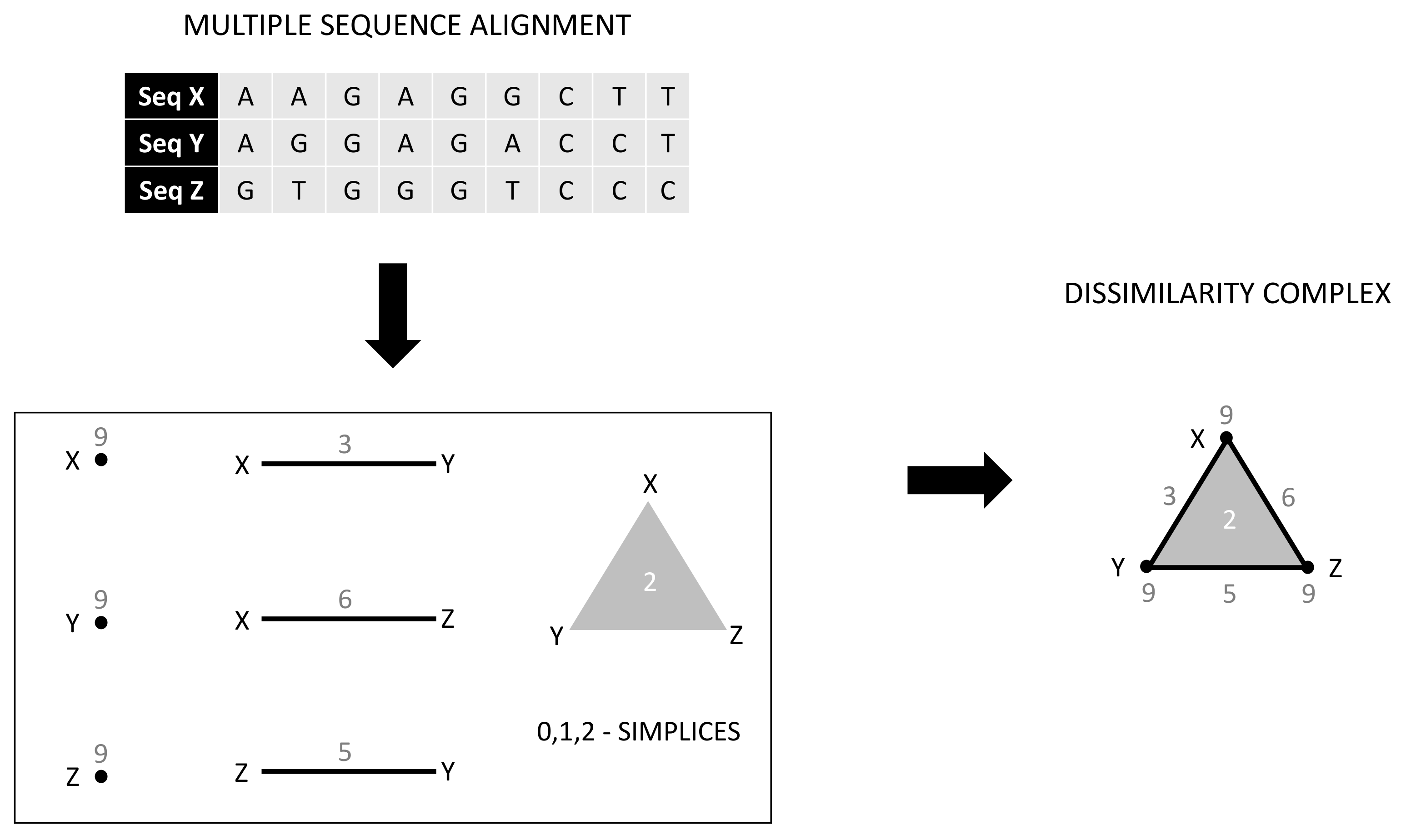 Mathematics Free FullText Weighted Homology of BiStructures over