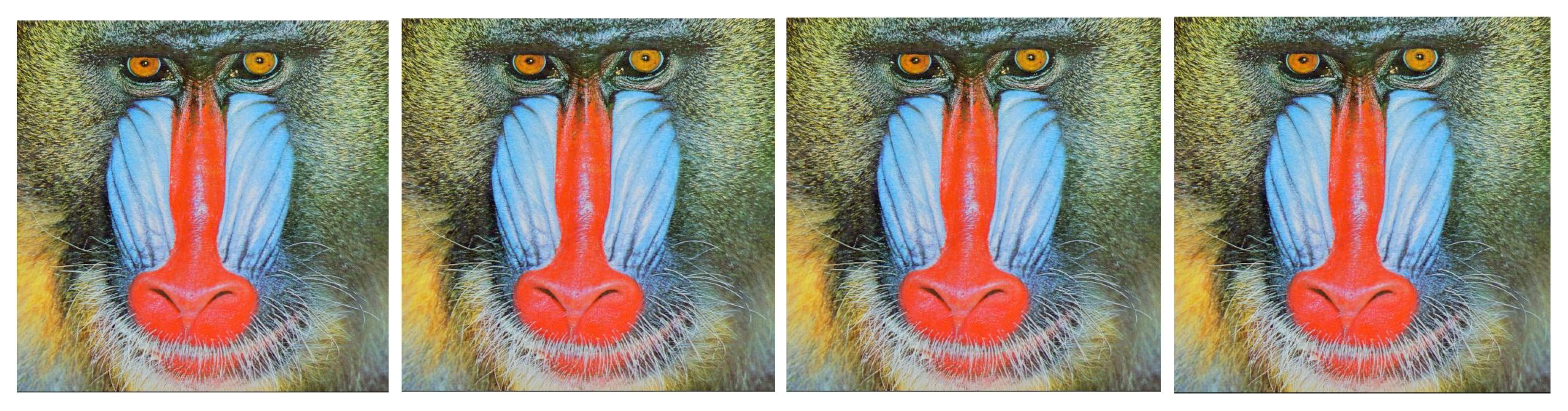 Mathematics 09 01104 g005 Mathematics 09 01104 g005