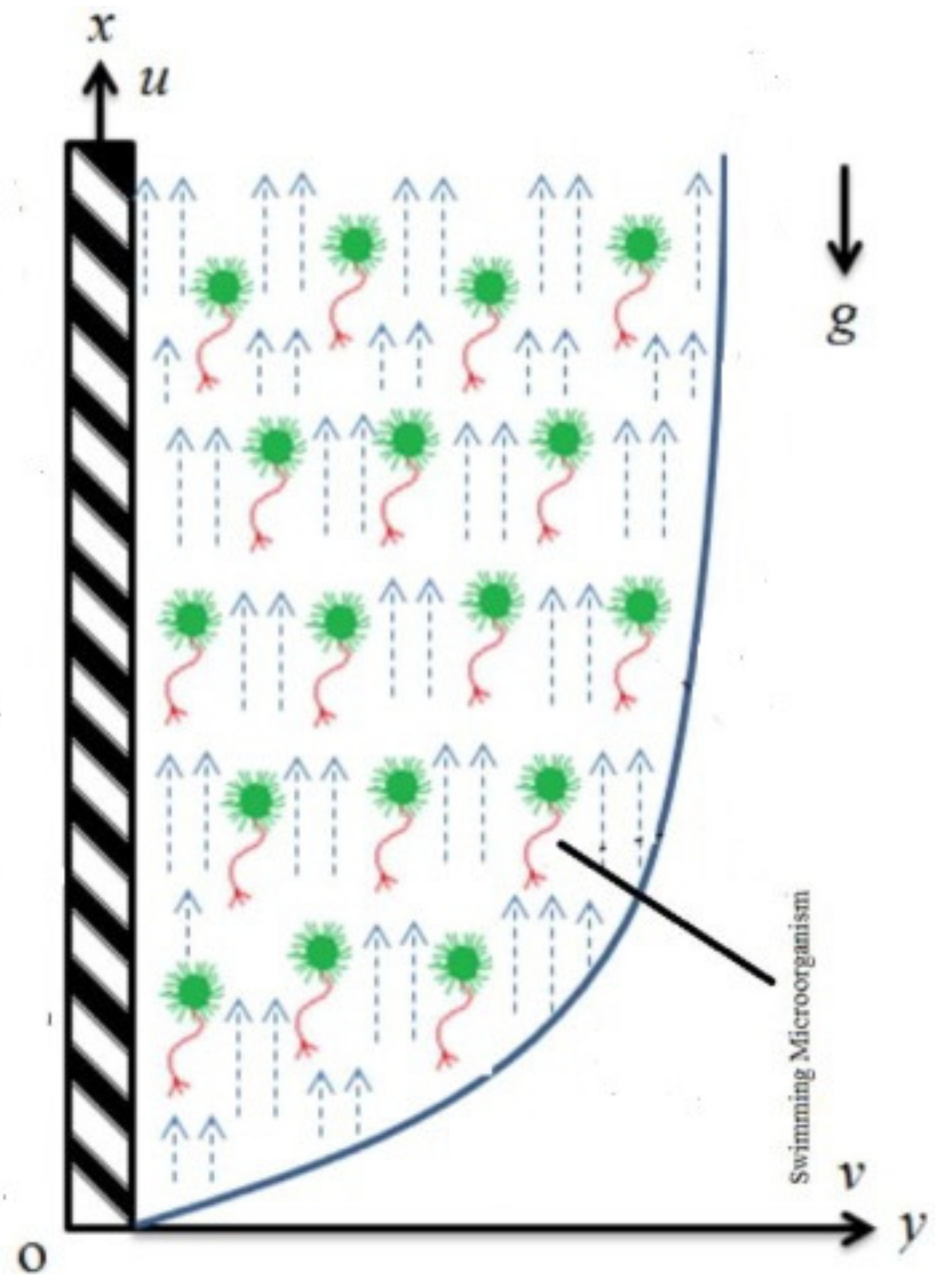 Mathematics 09 01366 g001 Mathematics 09 01366 g001