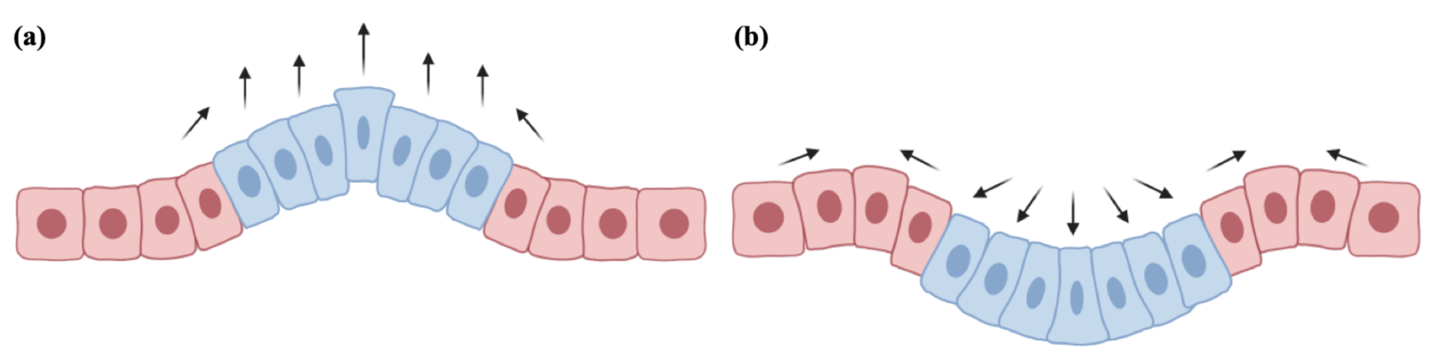 Mathematics 09 01376 g001