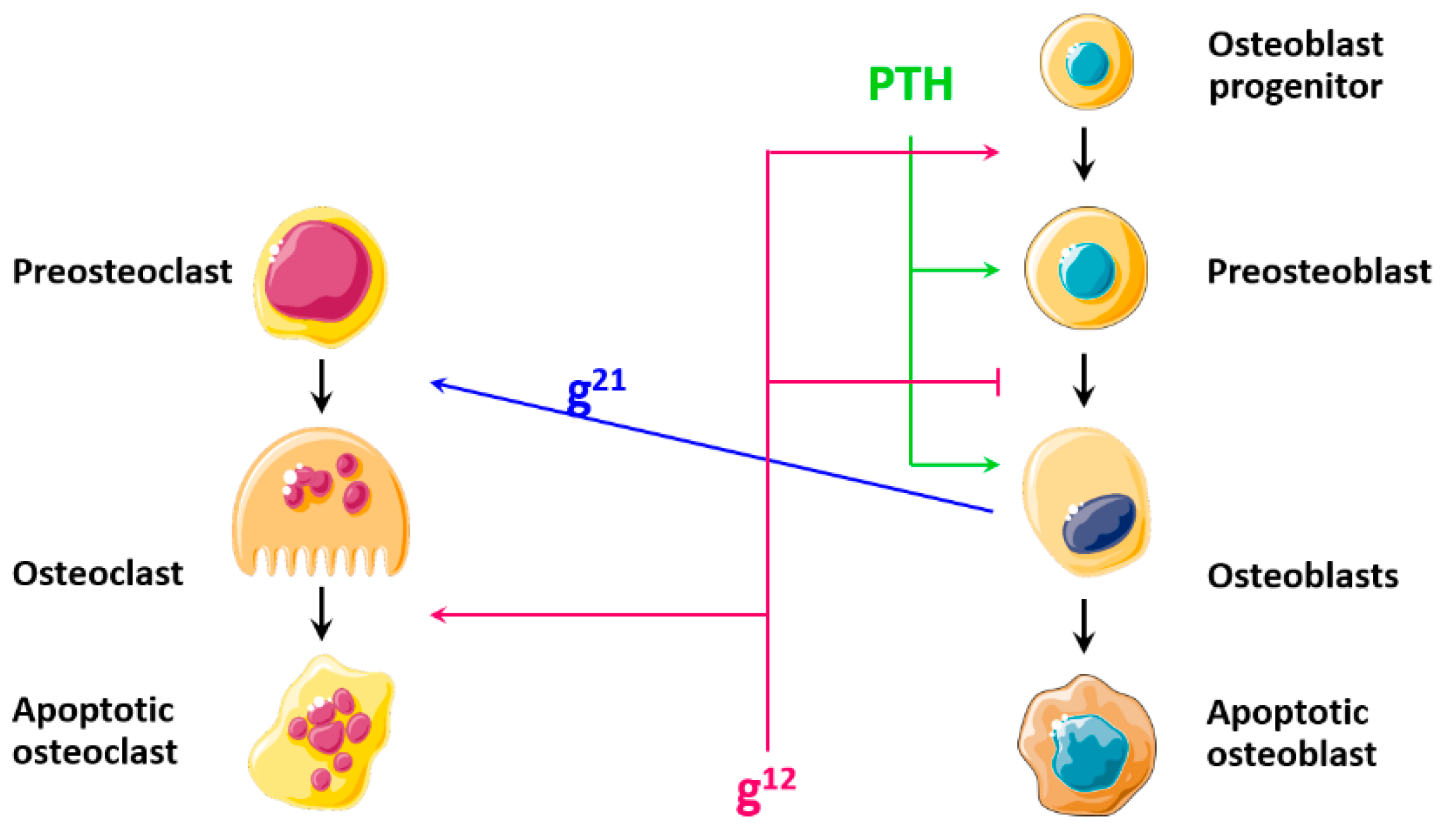 Mathematics 09 01401 g002 Mathematics 09 01401 g002