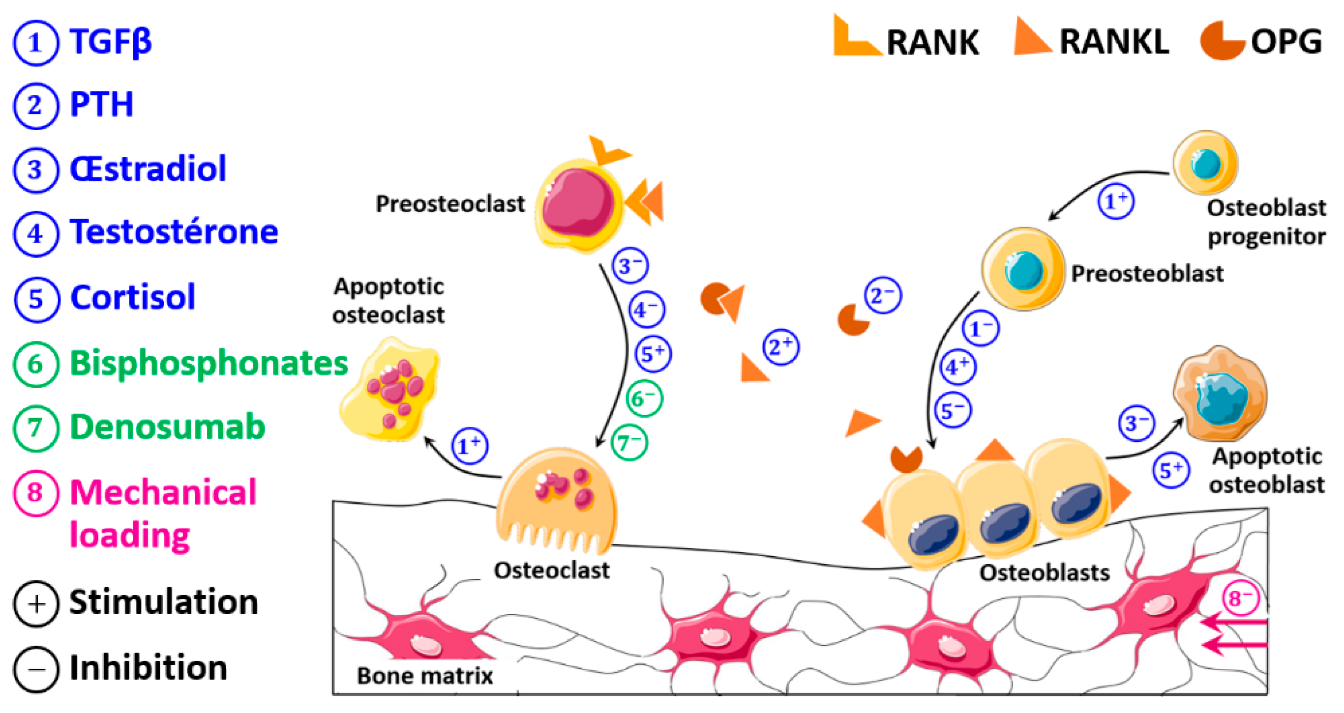 Mathematics 09 01401 g003 Mathematics 09 01401 g003