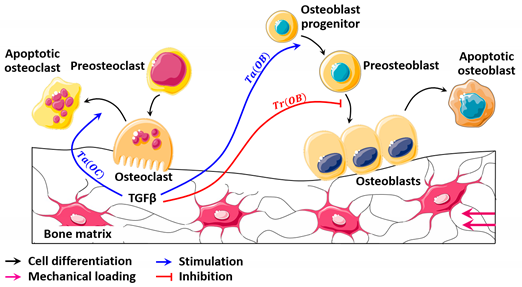 Mathematics 09 01401 i001 Mathematics 09 01401 i001