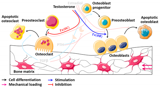 Mathematics 09 01401 i005 Mathematics 09 01401 i005