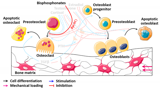 Mathematics 09 01401 i009 Mathematics 09 01401 i009